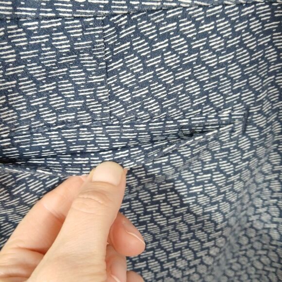 Ann Taylor Blue White Cropped Pants - Picture 4 of 11